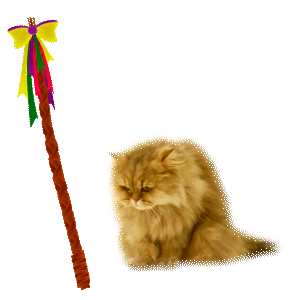 Mmb Monetakocour Sticker by MonetaMoneyBank