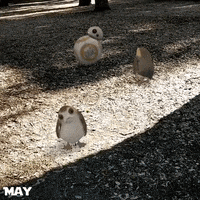 May The Fourth Be With You Star Wars GIF by UC Davis