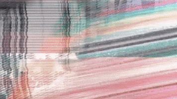 Powerbuilding gorilas pbo powerbuilding teampbo GIF
