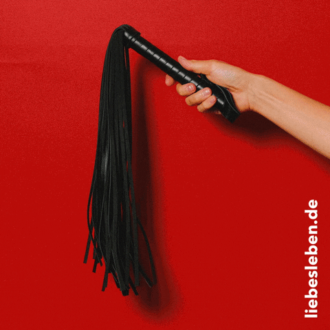 Leather Whip GIF by LIEBESLEBEN