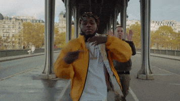 France Party GIF by RCA Records UK