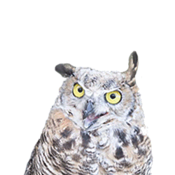 Grouse Mountain Sticker