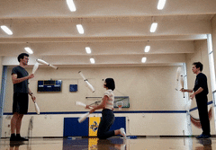 Minnesota GIF