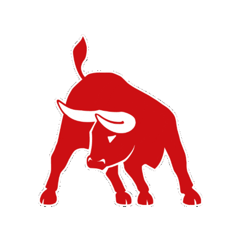 KS Brasileira Sticker