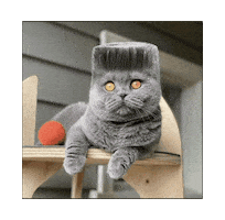 Realbullshat Sticker