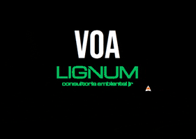 Lignum Ambiental Jr. GIF