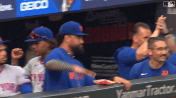 Celebrate Home Run GIF by New York Mets