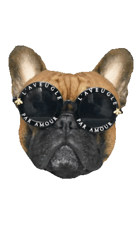 Animated Sticker