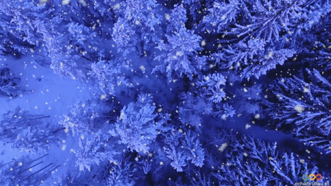 Christmas Snow GIF by echilibrultau - Find & Share on GIPHY