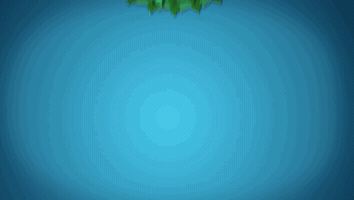 Animation GIF
