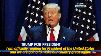 republican donald trump GIF