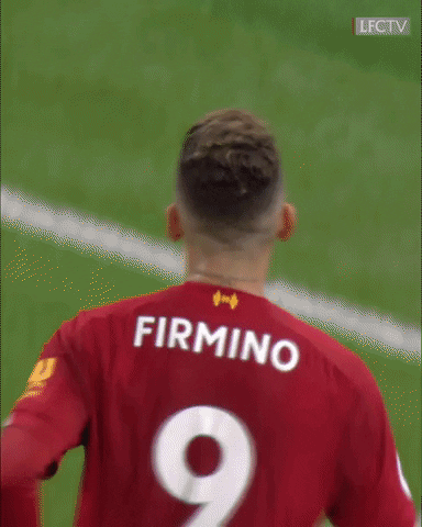 giphy.gif