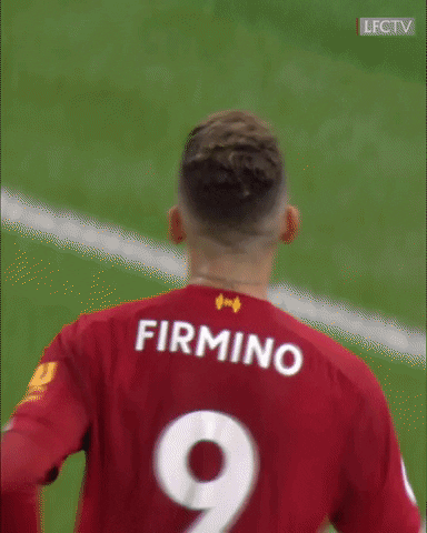 Celebrate Premier League GIF by Liverpool FC