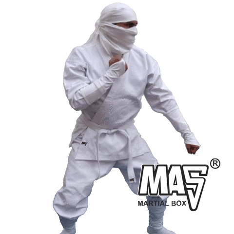 masmartialbox Sticker