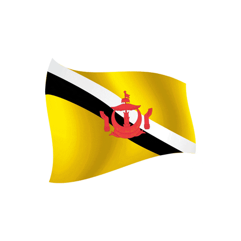 ASEAN Inter-Parliamentary Assembly GIF