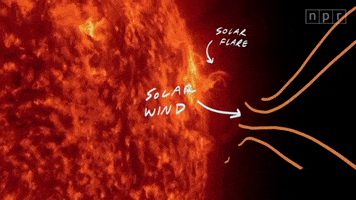 Animation Sun GIF by Marcie LaCerte