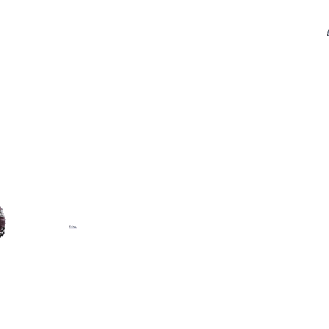 Wuling Motors Sticker