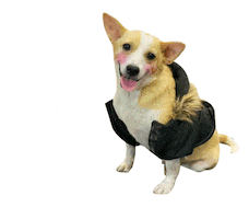 Dog Rescue Sticker