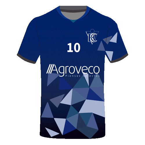 Balonmano Casetas Sticker