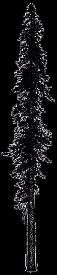 belwith-keeler GIF