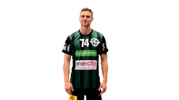 Sport Handball Sticker by DIE RECKEN