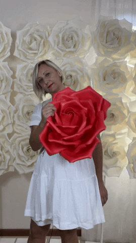 Lapetalaia GIF