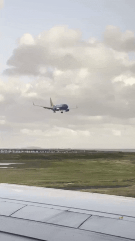 Flying Southwest Airlines GIF