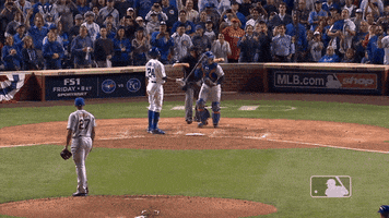 Ny Mets Win GIF by New York Mets