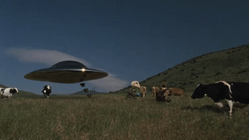200.gif?cid=fc005b081202c83170fa060921f780d9ebfac322a7df2c5e&rid=200.gif&ct=g