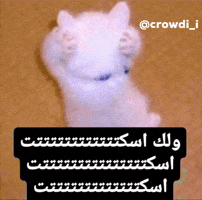 اسكت GIF