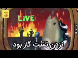 Ibu1B GIF