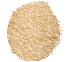 Gold Foil Sticker by Styled by DaraLyn