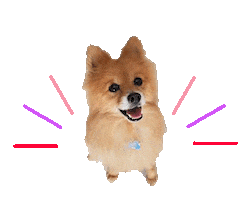 Cheers Good Job Sticker by PXD Pole Studio