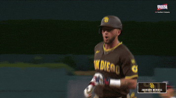 High Five Home Run GIF by MLB