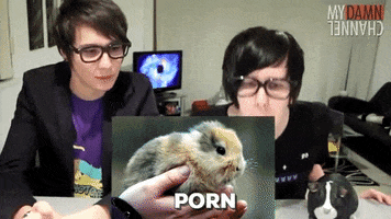 geliilee meme porn danisnotonfire dan howell GIF