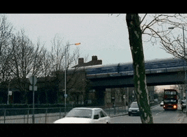 GIF by Rhino Records