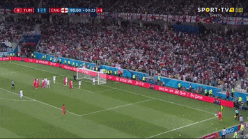 World Cup England GIF by nss sports
