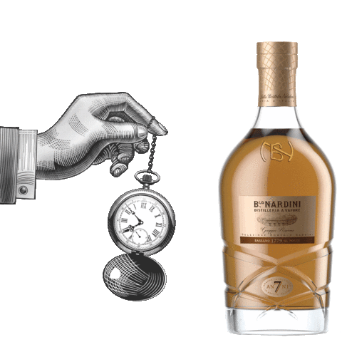 Ladistilleriaditalia Spiritosorprendente Sticker