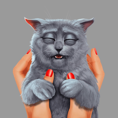 Happy Cat GIF by G5 games