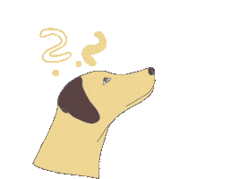 Dogs Hund Sticker by Lieblingshund Training