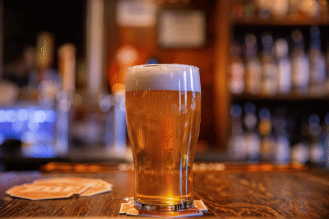 Beer Special GIFs - Get the best GIF on GIPHY
