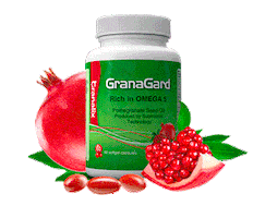 Granagardpy Sticker