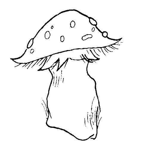 Black Sticker