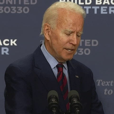 Video gif. Joe Biden speaks at a press conference or event in front of a podium. Text, "It's hard to respond to something so idiotic."