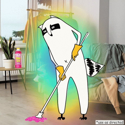 Cleaning Raccoon GIF by Pine-Sol
