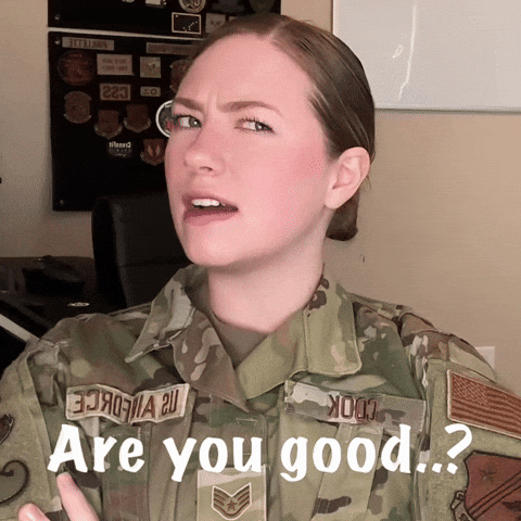 Are You Good Air Force GIF