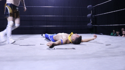 SHWAperth GIF - Find & Share on GIPHY