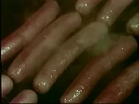 200w.webp?cid=82a1493bikchvbo6ra3nlkz7b8