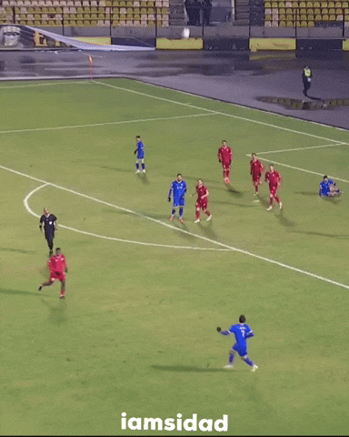 Peter Duhok GIF
