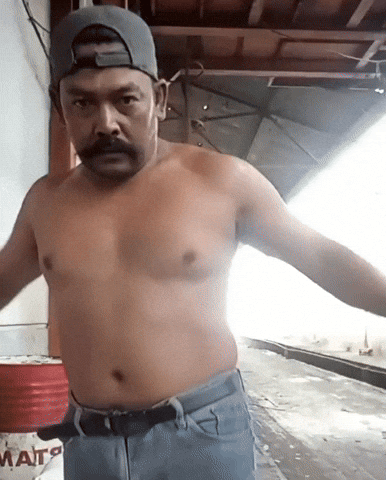 Pisik GIF